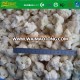 Grade A IQF Frozen Organic Cauliflower 40-60mm